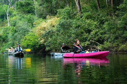 Byron Bay Rainforest Fishing - Accommodation Bookings 4
