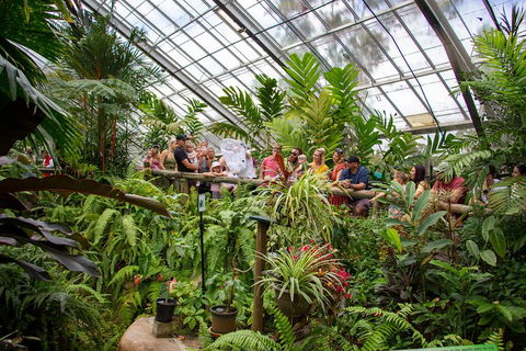 Australian Butterfly Sanctuary - Accommodation Bookings 0