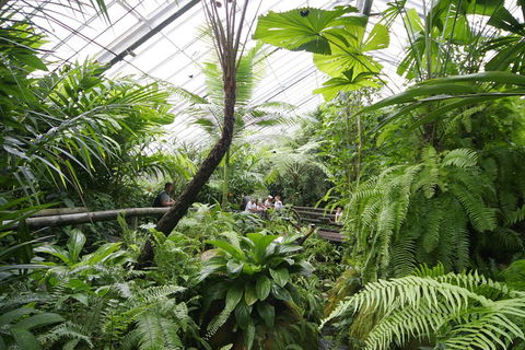 Australian Butterfly Sanctuary - Accommodation Bookings 3