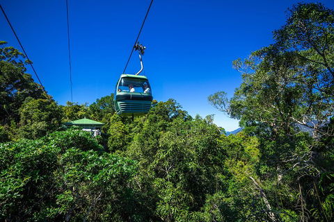 Classic Kuranda By Skyrail And Scenic Railway Including Rainforestation, Koala And Wildlife Park And Pamagirri Aboriginal Experi - Accommodation Bookings 0