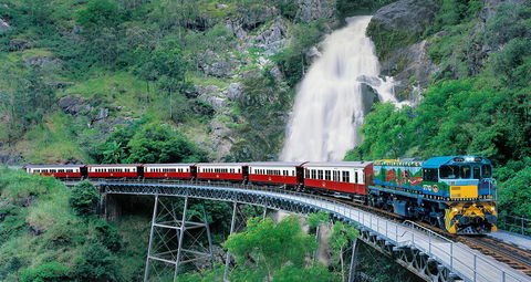 Classic Kuranda By Skyrail And Scenic Railway Including Rainforestation, Koala And Wildlife Park And Pamagirri Aboriginal Experi - Accommodation Bookings 1