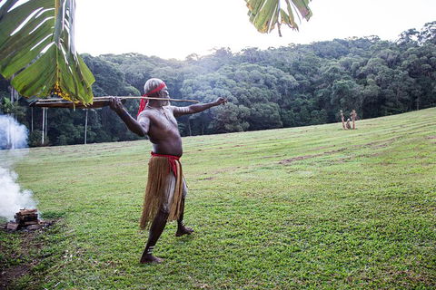 Classic Kuranda By Skyrail And Scenic Railway Including Rainforestation, Koala And Wildlife Park And Pamagirri Aboriginal Experi - Accommodation Bookings 5