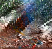 Kuranda Highlights including Rainforestation Aboriginal Culture and Wildlife - Accommodation Bookings