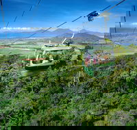 Best of Kuranda Including Skyrail Kuranda Scenic Railway and Rainforestation - Accommodation Bookings