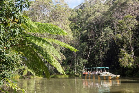 Best Of Kuranda Including Skyrail, Kuranda Scenic Railway And Rainforestation - Accommodation Bookings 5