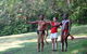 Kuranda Rainforestation Nature Park Ticket (BNP) - thumb 1