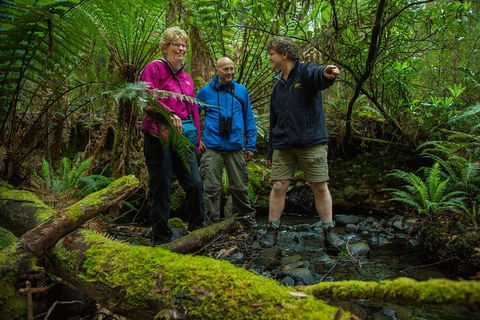 Bruny Island Traveller - Gourmet Tasting And Sightseeing Day Trip From Hobart - Accommodation Bookings 1