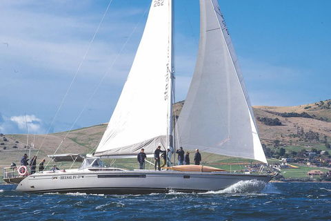 Half-Day Sailing On The Derwent River From Hobart - Accommodation Bookings 1