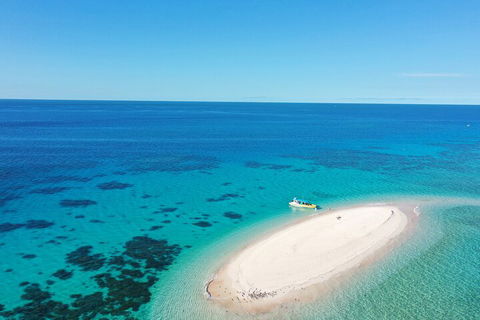 Ocean Safari Great Barrier Reef Experience In Cape Tribulation - Accommodation Bookings 0