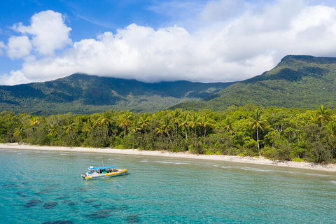 Ocean Safari Great Barrier Reef Experience In Cape Tribulation - Accommodation Bookings 2