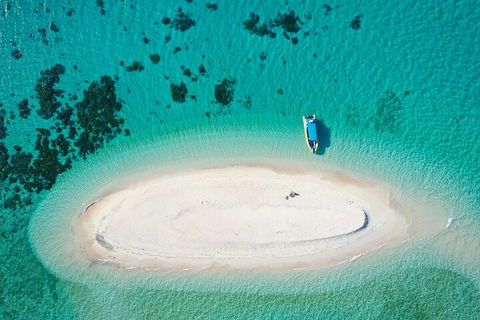 Ocean Safari Great Barrier Reef Experience In Cape Tribulation - Accommodation Bookings 3