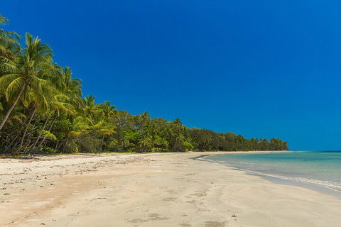 Ocean Safari Great Barrier Reef Experience In Cape Tribulation - Accommodation Bookings 4