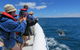 Kangaroo Island 75-Minute Ocean Safari - thumb 3