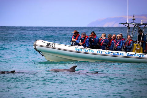 Kangaroo Island 75-Minute Ocean Safari - Accommodation Bookings 4