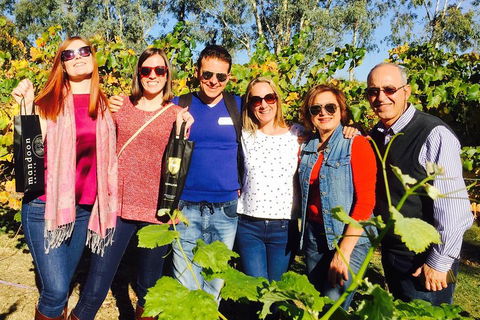 Wine Tasting Day Trip And Swan Valley River Cruise To Perth - Accommodation Bookings 2