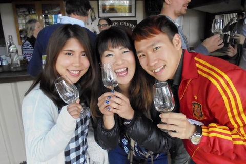 Wine Tasting Day Trip And Swan Valley River Cruise To Perth - Accommodation Bookings 3