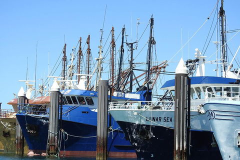 One Day Port Lincoln Tour - Tasting Eyre - Accommodation Bookings 0