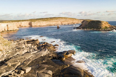 One Day Port Lincoln Tour - Tasting Eyre - Accommodation Bookings 3