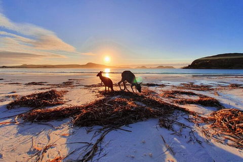 10-Day Perth To Adelaide Adventure Tour - Accommodation Bookings 1