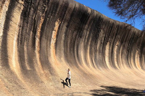 6 Day Esperance & Margaret River Adventure Tour - Accommodation Bookings 4