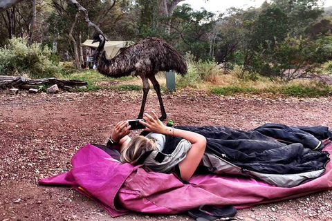 6 Day Esperance & Margaret River Adventure Tour - Accommodation Bookings 5