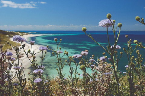 Rottnest Island Full-Day Trip With Guided Island Tour From Perth - Accommodation Bookings 2