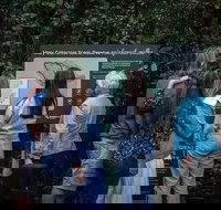 Sunshine Coast Hinterland and Noosa Day Trip from Brisbane Including Eumundi Markets and Ginger Factory - Accommodation Bookings