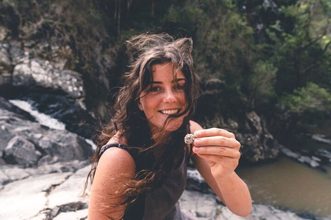 Springbrook AndTamborine Rainforest Tour Incl Natural Bridge And Glow Worm Cave - Accommodation Bookings 1