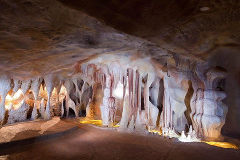 Springbrook AndTamborine Rainforest Tour Incl Natural Bridge And Glow Worm Cave - Accommodation Bookings 4
