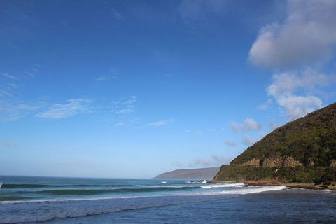 Private Great Ocean Road Day Tour With Early Departure & Early Return (11 Hours) - Accommodation Bookings 3