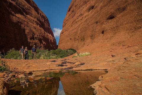 4 Day/3 Night Perentie Dreaming Safari - Accommodation Bookings 3