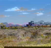 Overnight Uluru Ayers Rock Small-Group Camping Tour - Accommodation Bookings