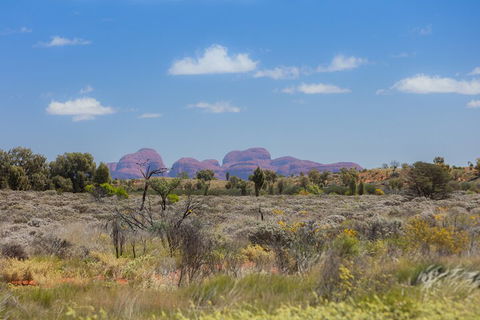 Overnight Uluru (Ayers Rock) Small-Group Camping Tour - Accommodation Bookings 0
