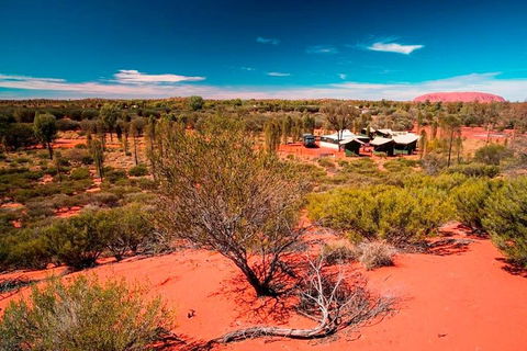 Overnight Uluru (Ayers Rock) Small-Group Camping Tour - Accommodation Bookings 2
