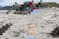 Book Viator Accommodation Vacations Accommodation Bookings Accommodation Bookings