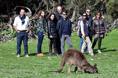 2-Day Kangaroo Island 4WD Small-Group Tour From Adelaide - Accommodation Bookings 1