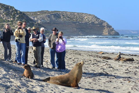 2-Day Kangaroo Island 4WD Small-Group Tour From Adelaide - Accommodation Bookings 3