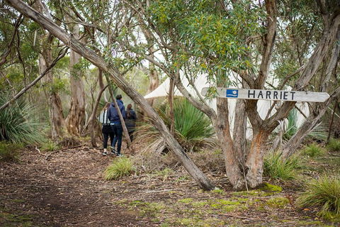 2-Day Kangaroo Island 4WD Small-Group Tour From Adelaide - Accommodation Bookings 5