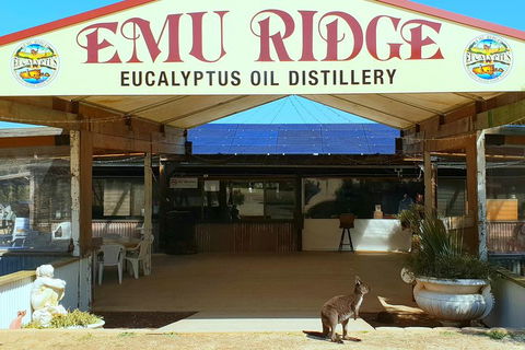 2 Day Ultimate Kangaroo Island With Return Ferry - Accommodation Bookings 3