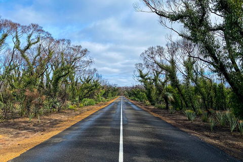 2 Day Ultimate Kangaroo Island With Return Ferry - Accommodation Bookings 4