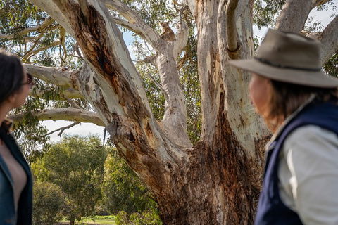 NEW TOUR - Kangaroo Island Road To Recovery Tour (1 Day/1 Night) - Accommodation Bookings 0
