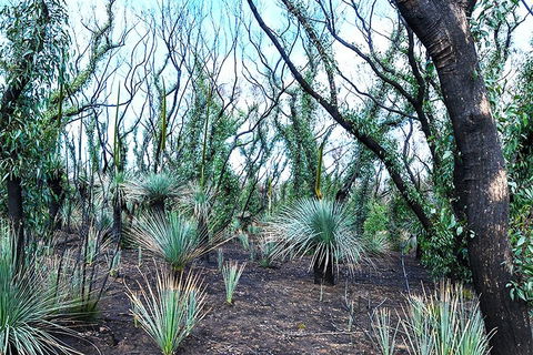 NEW TOUR - Kangaroo Island Road To Recovery Tour (1 Day/1 Night) - Accommodation Bookings 3