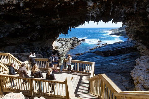 Full Day Flinders Chase Tour From Kangaroo Island - Accommodation Bookings 1