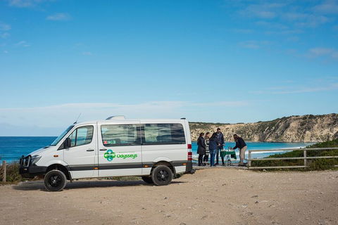 Full Day Flinders Chase Tour From Kangaroo Island - Accommodation Bookings 3