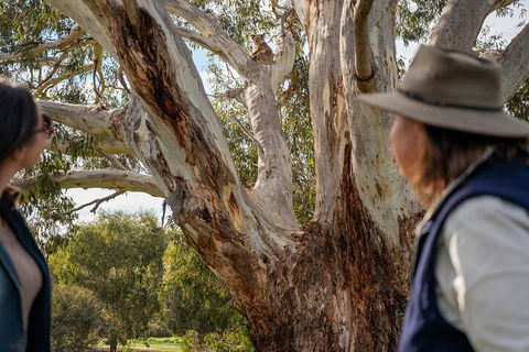 Full Day Flinders Chase Tour From Kangaroo Island - Accommodation Bookings 5