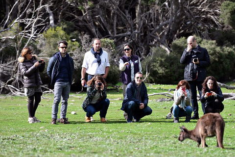 Small-Group Kangaroo Island 4WD Tour From Adelaide - Accommodation Bookings 2