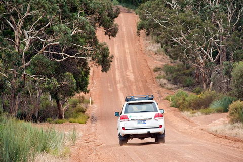 Small-Group Kangaroo Island 4WD Tour From Adelaide - Accommodation Bookings 3