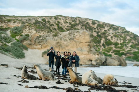 Small-Group Kangaroo Island 4WD Tour From Adelaide - Accommodation Bookings 4