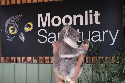 Small-Group Phillip Island Day Trip From Melbourne - Accommodation Bookings 3
