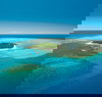 Cairns City Sights and Surrounds Tour - Accommodation Bookings